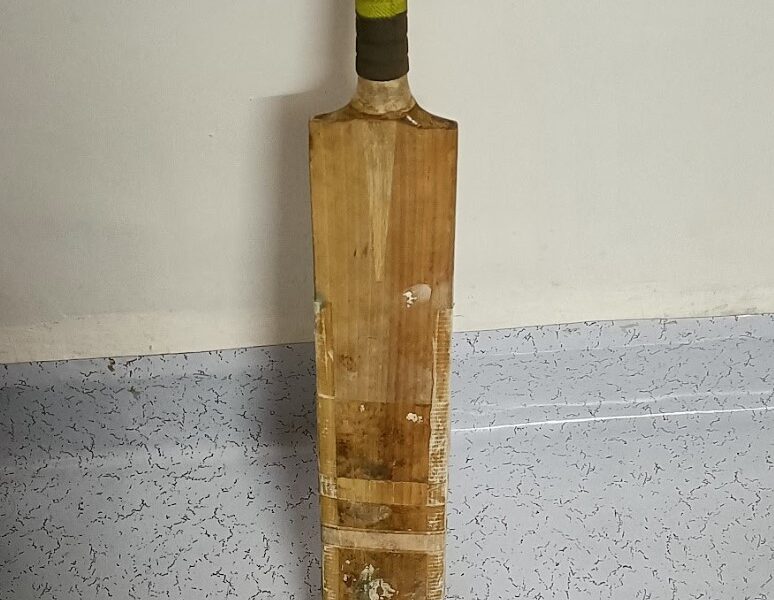 SS Bat available